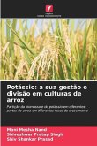 Potássio: a sua gestão e divisão em culturas de arroz