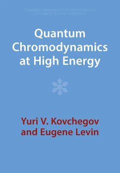 Quantum Chromodynamics at High Energy - Kovchegov, Yuri V. (Ohio State University); Levin, Eugene (Tel-Aviv University)