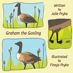 Graham the Gosling - Pryke, Julie
