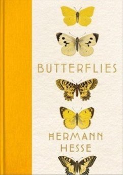Butterflies - Hesse, Hermann
