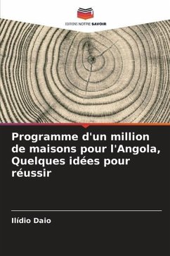 Programme d'un million de maisons pour l'Angola, Quelques idées pour réussir - Daio, Ilídio
