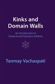 Kinks and Domain Walls