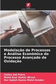 Modelação de Processos e Análise Económica do Processo Avançado de Oxidação