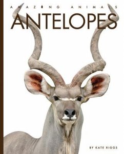 Antelopes - Riggs, Kate
