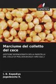 Marciume del colletto del cece