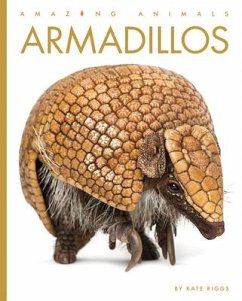 Armadillos - Riggs, Kate