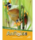 Anfibios