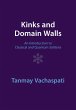 Kinks and Domain Walls - Bild 1