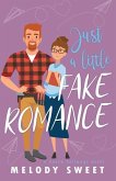 Just A Little Fake Romance: A Sweet Romantic Comedy