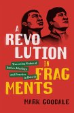 Revolution in Fragments (eBook, PDF)