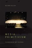 Media Primitivism (eBook, PDF)