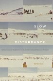 Slow Disturbance (eBook, PDF)