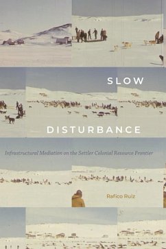 Cover Slow Disturbance (eBook, PDF)