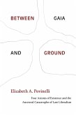 Between Gaia and Ground (eBook, PDF) Between Gaia and Ground (eBook, PDF)