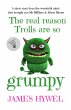 The Real Reason Trolls are so Grumpy... - Bild 1