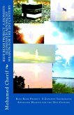 Blue Beam Project A Zionists-Illuminatis Advanced Weapon In the 21st Century (eBook, ePUB)