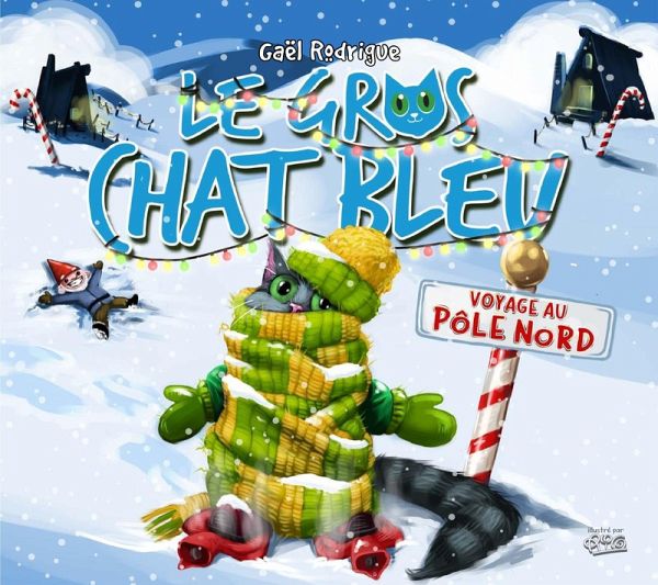 Voyage au pôle Nord (eBook, PDF) Voyage au pôle Nord (eBook, PDF)