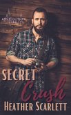 Secret Crush (Love in the City, #1) (eBook, ePUB)