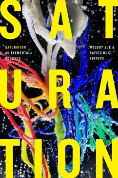 Cover Saturation (eBook, PDF)