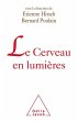Le Cerveau en lumières (eBook, ePUB) - Bild 1