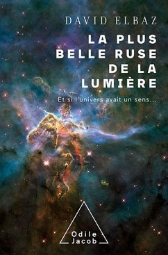 Cover La plus belle ruse de la lumière (eBook, ePUB)