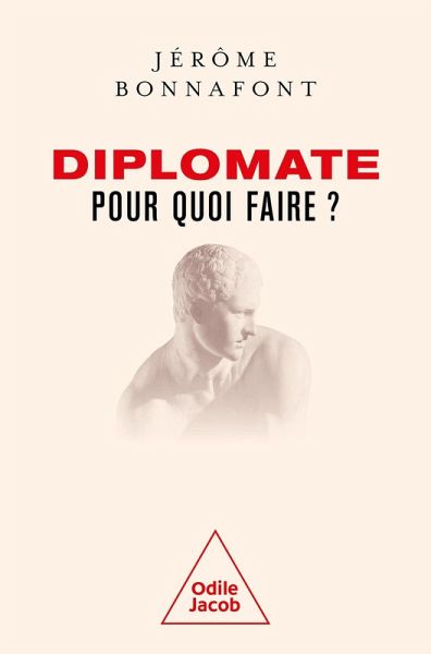 Diplomate, pour quoi faire ? (eBook, ePUB) Diplomate, pour quoi faire ? (eBook, ePUB)