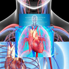 Mikrozirkulation verbessern, das kardiovaskuläre System stärken, Herz-Hirn-Kohärenz fördern (MP3-Download) - Powerful Methods to Awaken Selfhealing