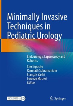 Minimally Invasive Techniques in Pediatric Urology (eBook, PDF)