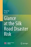 Glance at the Silk Road Disaster Risk (eBook, PDF)