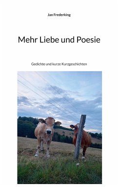 Mehr Liebe und Poesie (eBook, ePUB) - Frederking, Jan