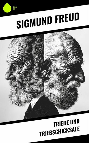 Triebe und Triebschicksale (eBook, ePUB)