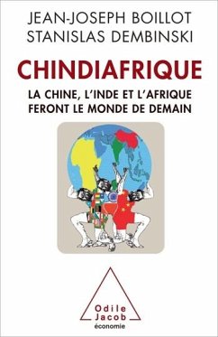 Cover Chindiafrique (eBook, ePUB)