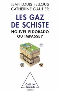 Cover Les Gaz de schiste (eBook, ePUB)