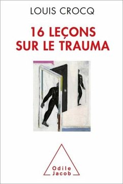 Cover 16 leçons sur le trauma (eBook, ePUB)