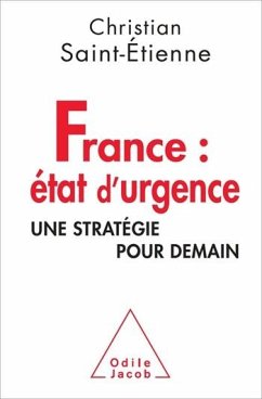 Cover France : état d'urgence (eBook, ePUB)