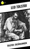 Tolstoi: Erzählungen (eBook, ePUB)