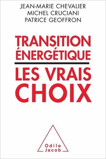 Transition énergétique : les vrais choix (eBook, ePUB)