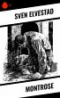 Montrose (eBook, ePUB) - Bild 1