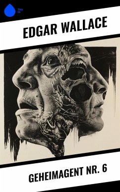 Cover Geheimagent Nr. 6 (eBook, ePUB)