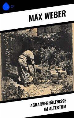 Cover Agrarverhältnisse im Altertum (eBook, ePUB)