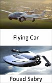 Flying Car (eBook, ePUB)