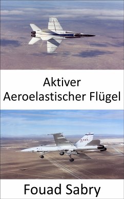 Aktiver Aeroelastischer Flügel (eBook, ePUB) - Sabry, Fouad