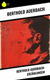 Berthold Auerbach: Erzählungen (eBook, ePUB) Berthold Auerbach: Erzählungen (eBook, ePUB)