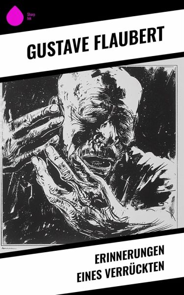 Erinnerungen eines Verrückten (eBook, ePUB)