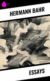 Essays (eBook, ePUB)