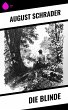 Die Blinde (eBook, ePUB) - Bild 1