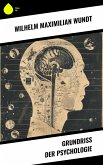 Grundriss der Psychologie (eBook, ePUB)