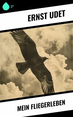 Cover Mein Fliegerleben (eBook, ePUB)