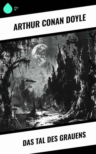 Das Tal des Grauens (eBook, ePUB)