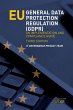 EU General Data Protection Regulation... - Bild 1